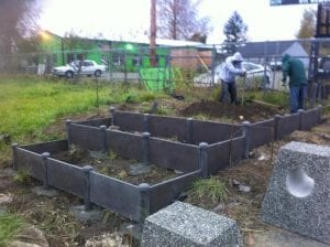 raised garden beds