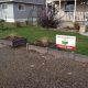 The Green Box Raised Garden Bed Review