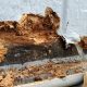 Easy Steps to Replace Skirting on A Mobile Home